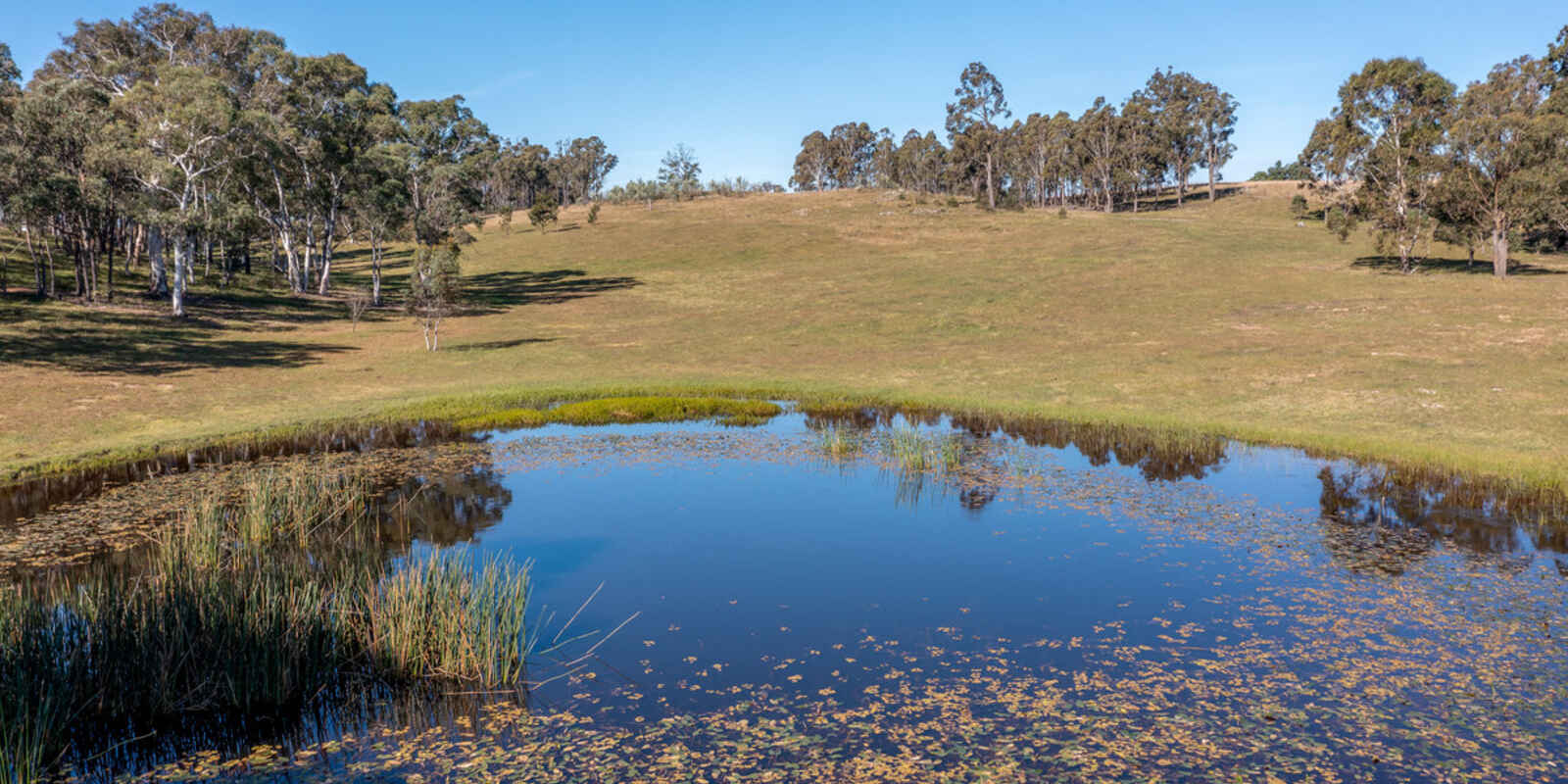 5348 Oallen Ford Road Goulburn