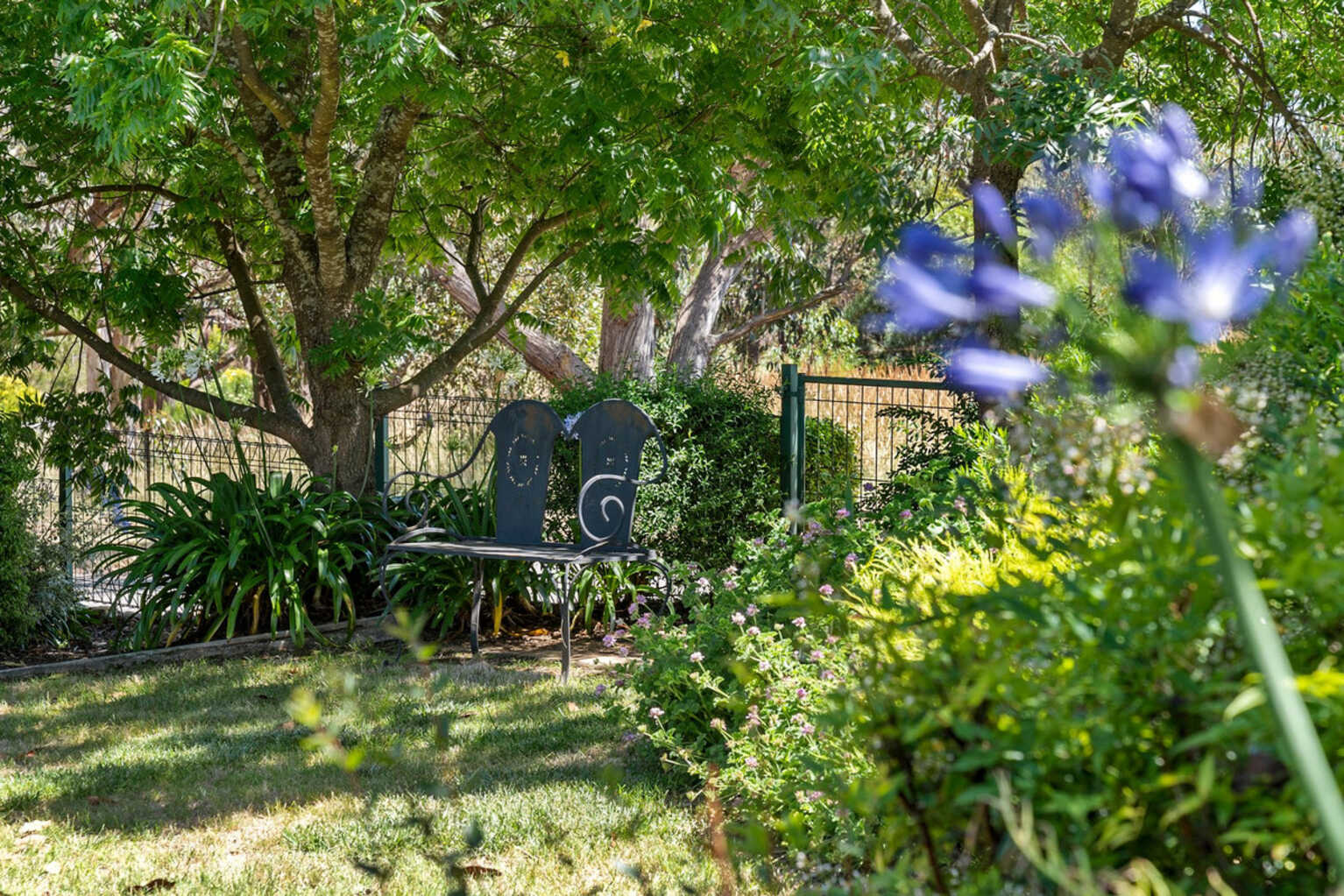 815 Mountain Ash Road Gundary Goulburn