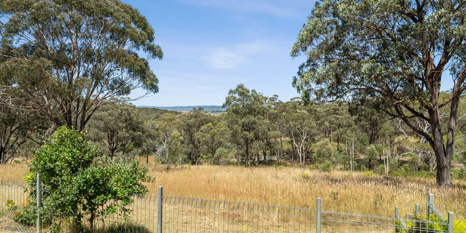815 Mountain Ash Road Gundary Goulburn