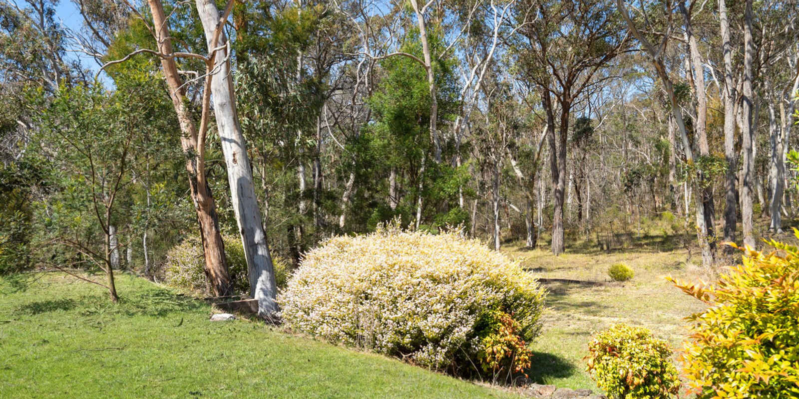 242 Mulwaree Drive Tallong