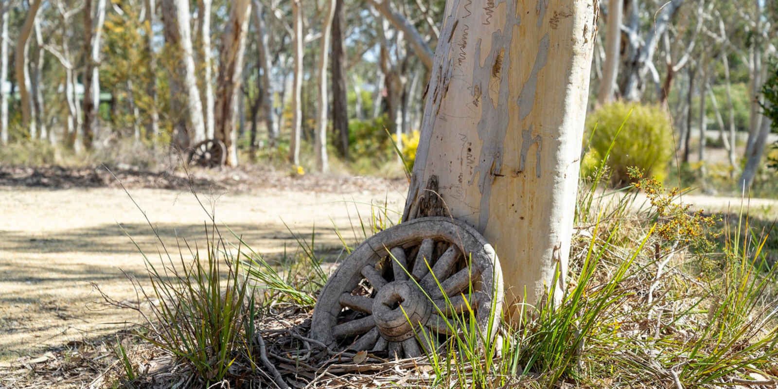 242 Mulwaree Drive Tallong