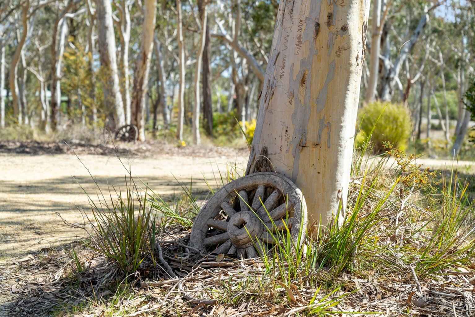 242 Mulwaree Drive Tallong