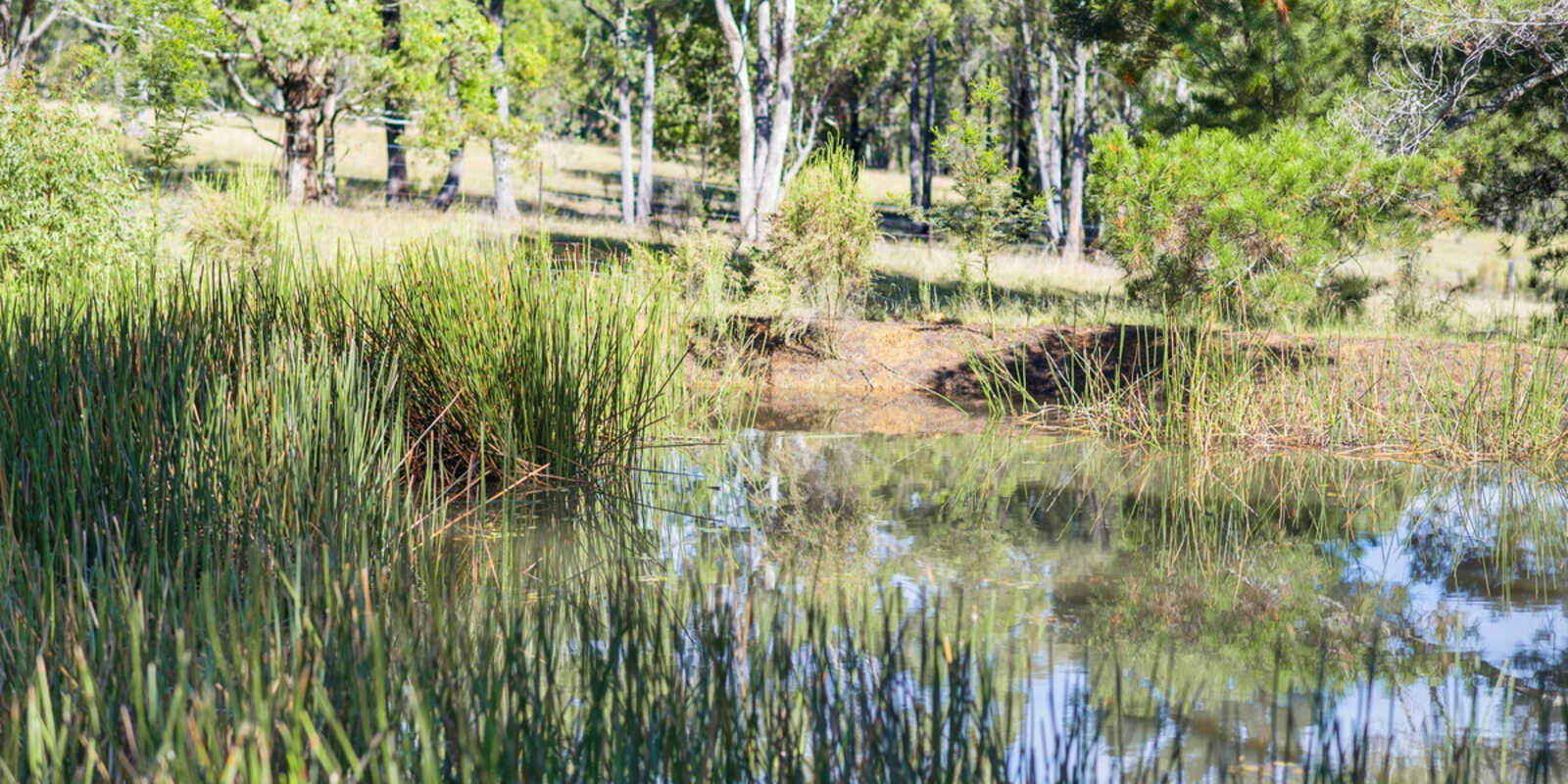 5368 Oallen Ford Road Bungonia Goulburn