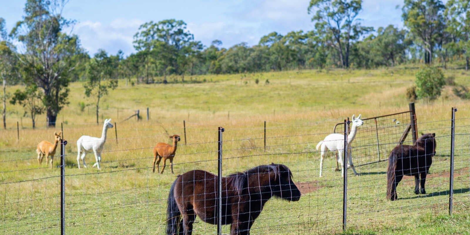 5368 Oallen Ford Road Bungonia Goulburn