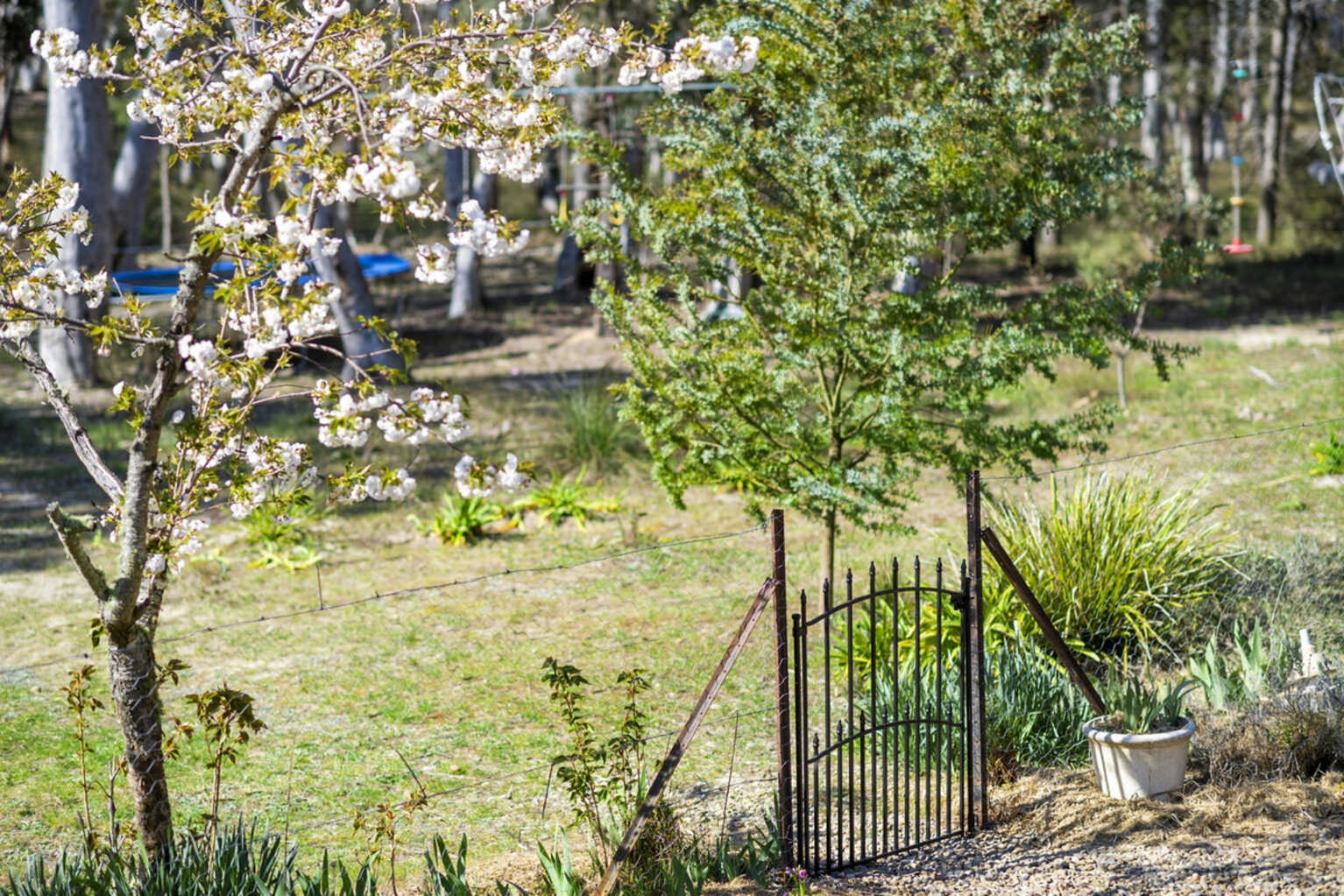 32 Acacia Avenue Tallong Marulan 32 Acacia Avenue Tallong Marulan