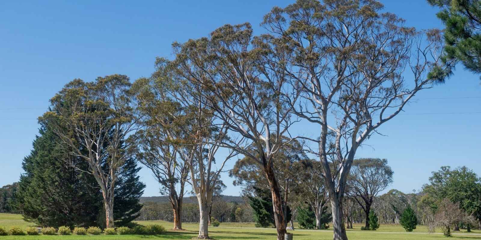 349 Highland Way Marulan