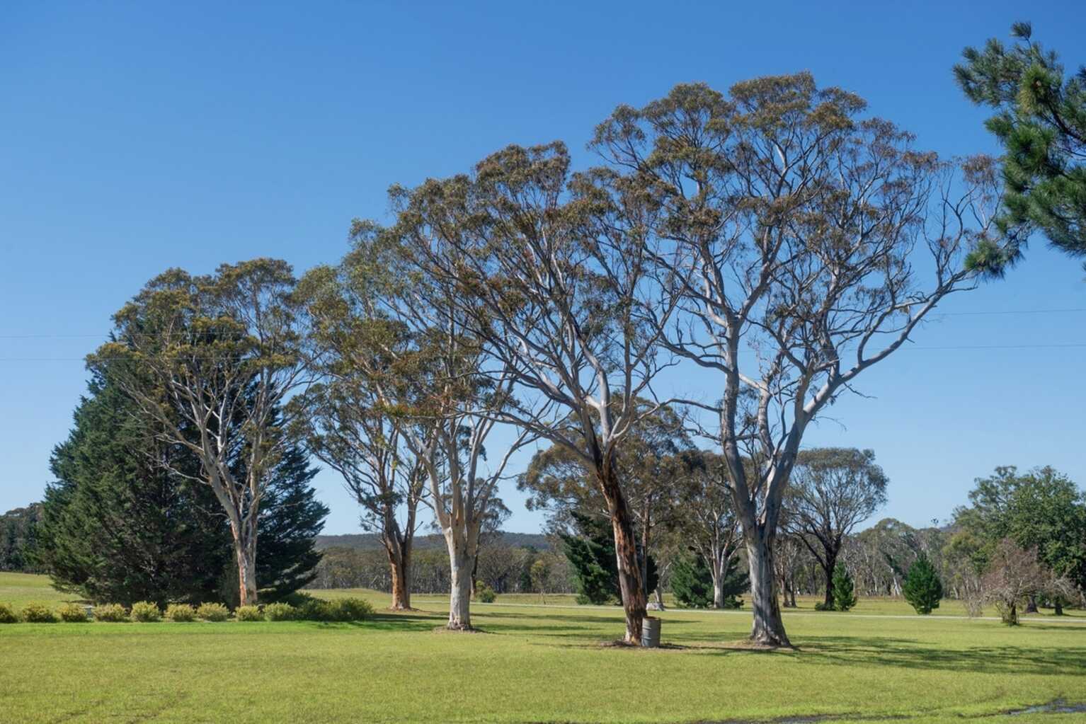 349 Highland Way Marulan