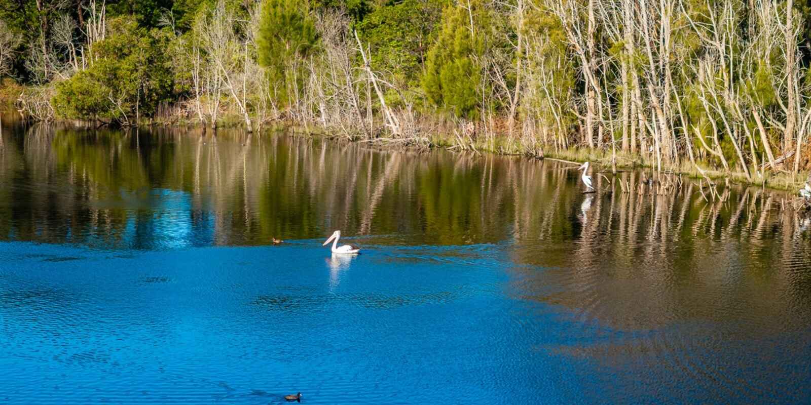 2A Hazel Road Moruya Heads