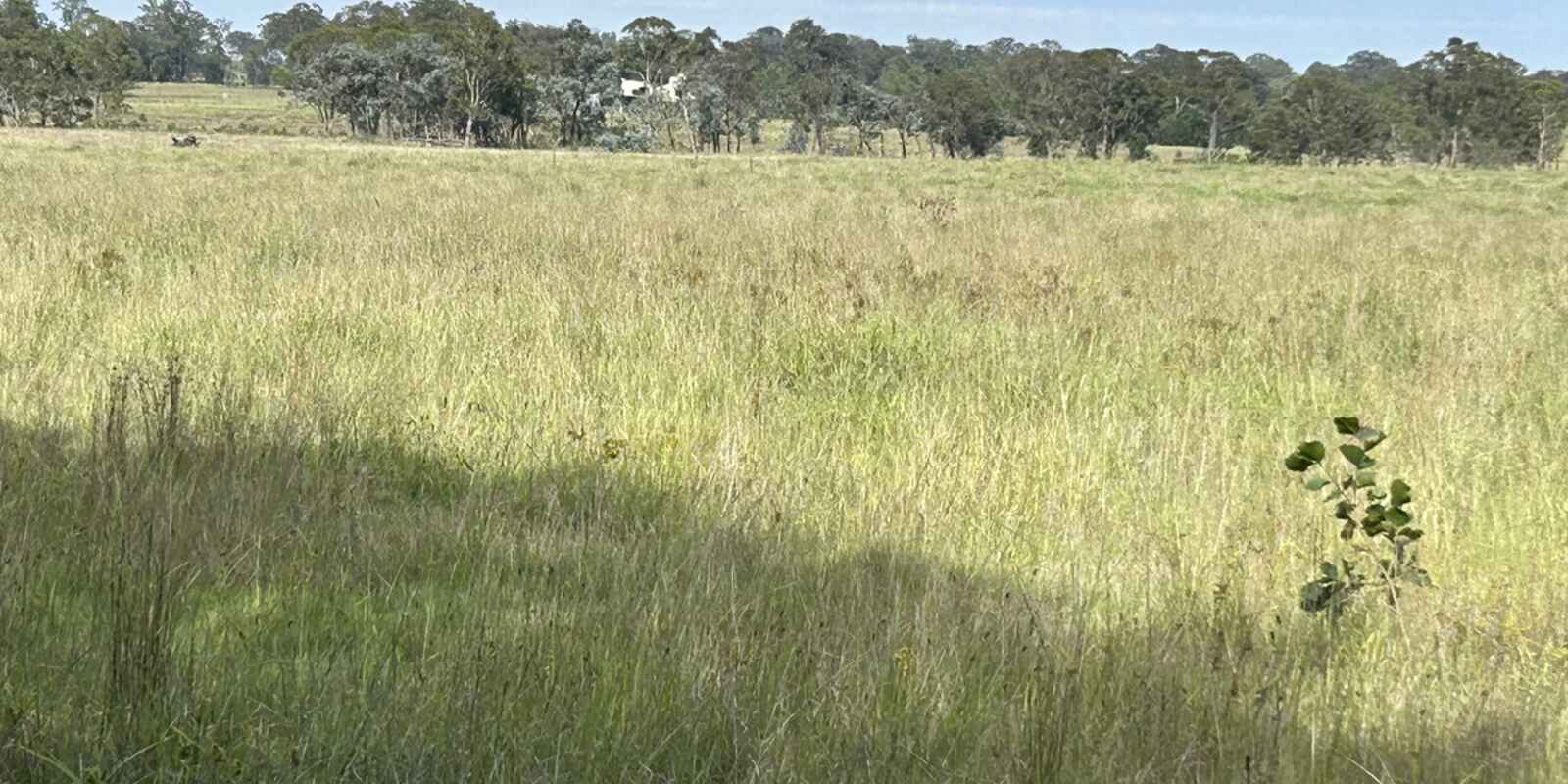 Land 69 Old Tallong Road Marulan