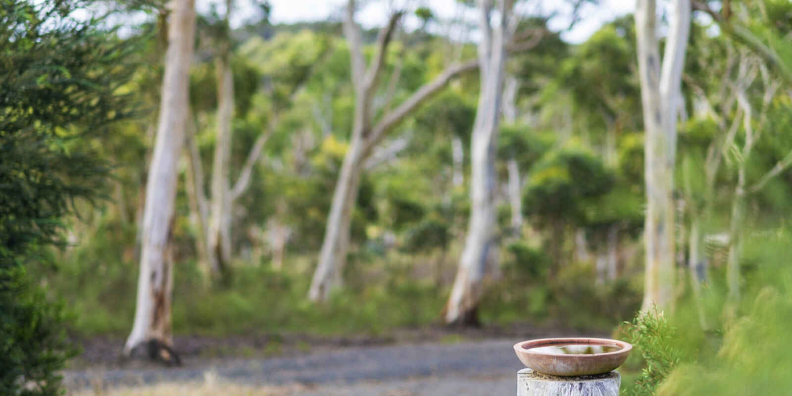 8 Wistringia Place Tallong Marulan 8 Wistringia Place Tallong Marulan