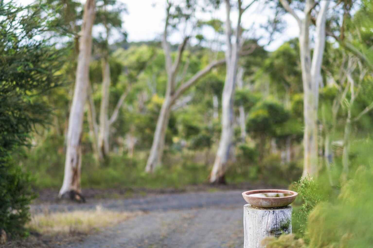 8 Wistringia Place Tallong Marulan 8 Wistringia Place Tallong Marulan