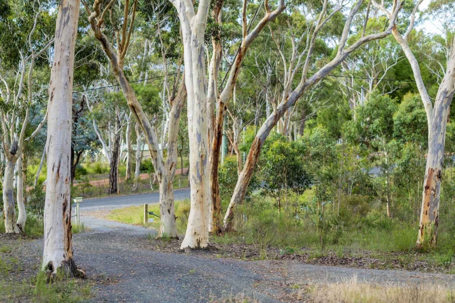 8 Wistringia Place Tallong Marulan 8 Wistringia Place Tallong Marulan