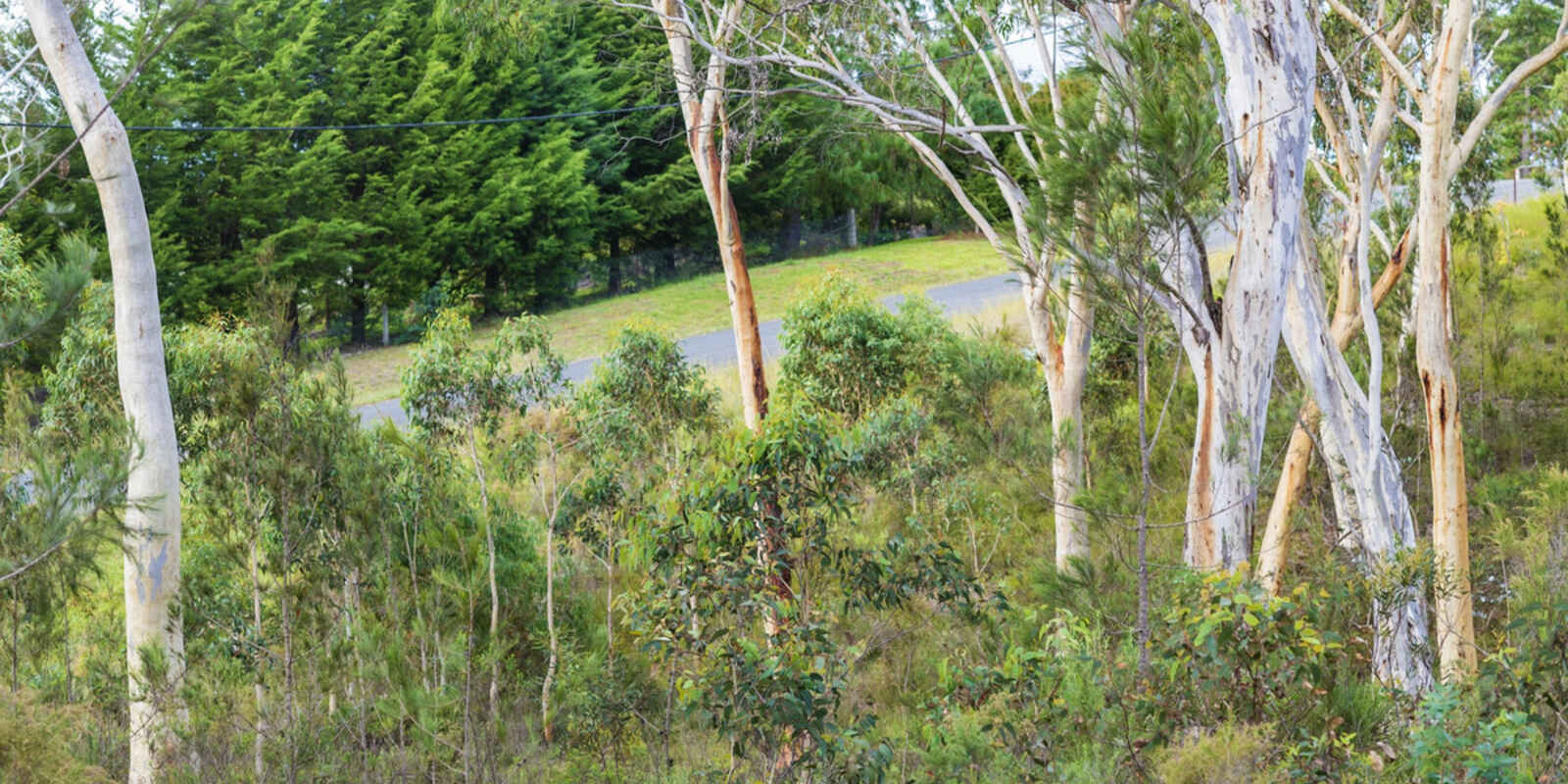 8 Wistringia Place Tallong Marulan 8 Wistringia Place Tallong Marulan