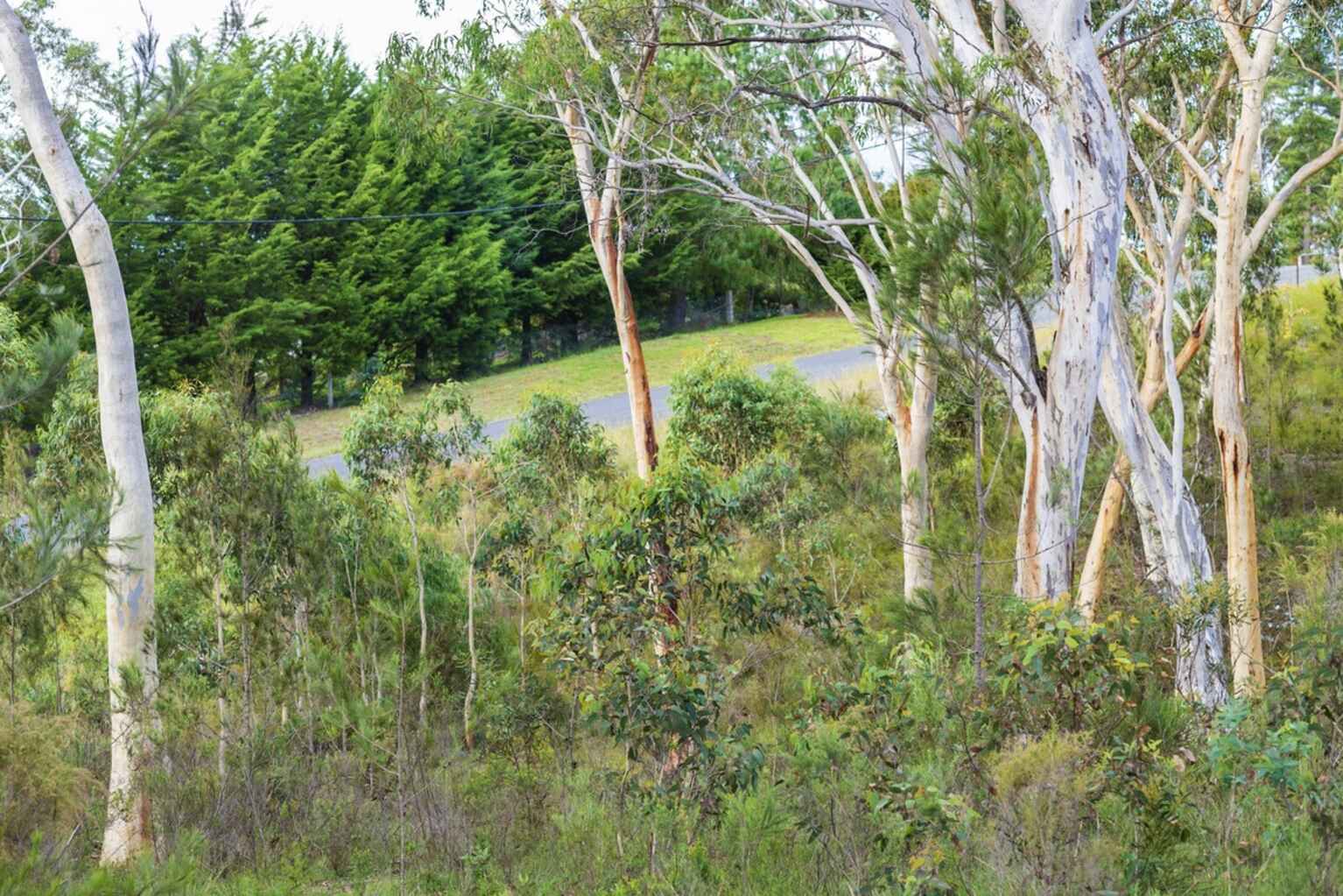 8 Wistringia Place Tallong Marulan 8 Wistringia Place Tallong Marulan