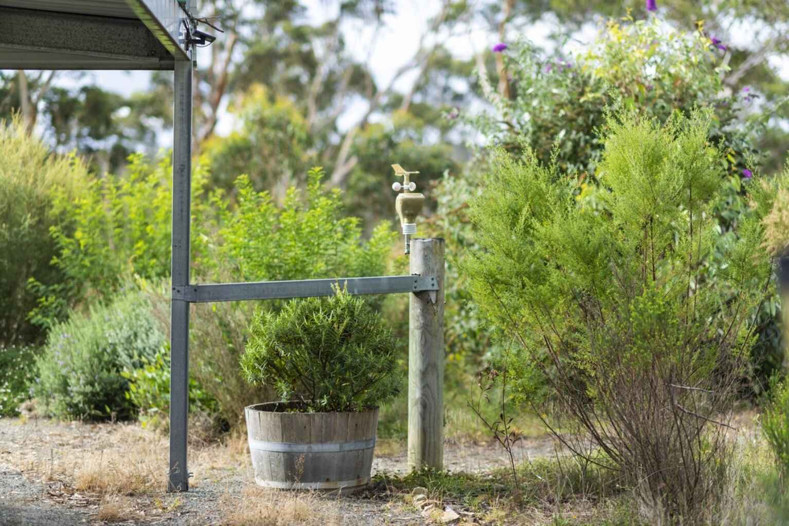 8 Wistringia Place Tallong Marulan 8 Wistringia Place Tallong Marulan