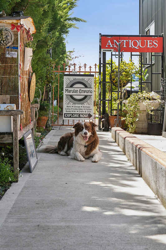 87 George Street Marulan