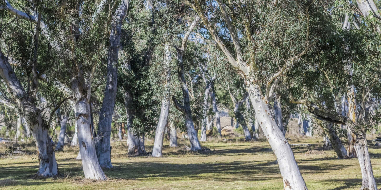 Goulburn Goulburn