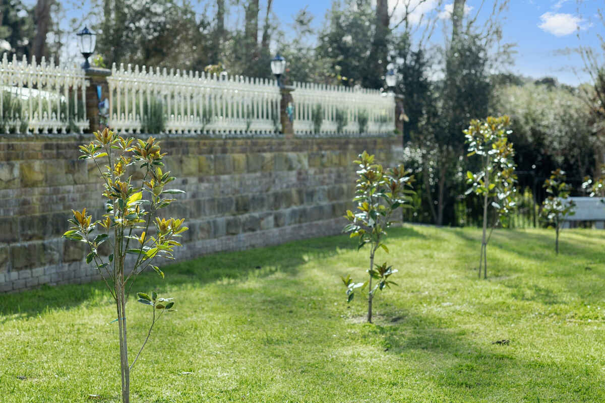 96 George Street Marulan