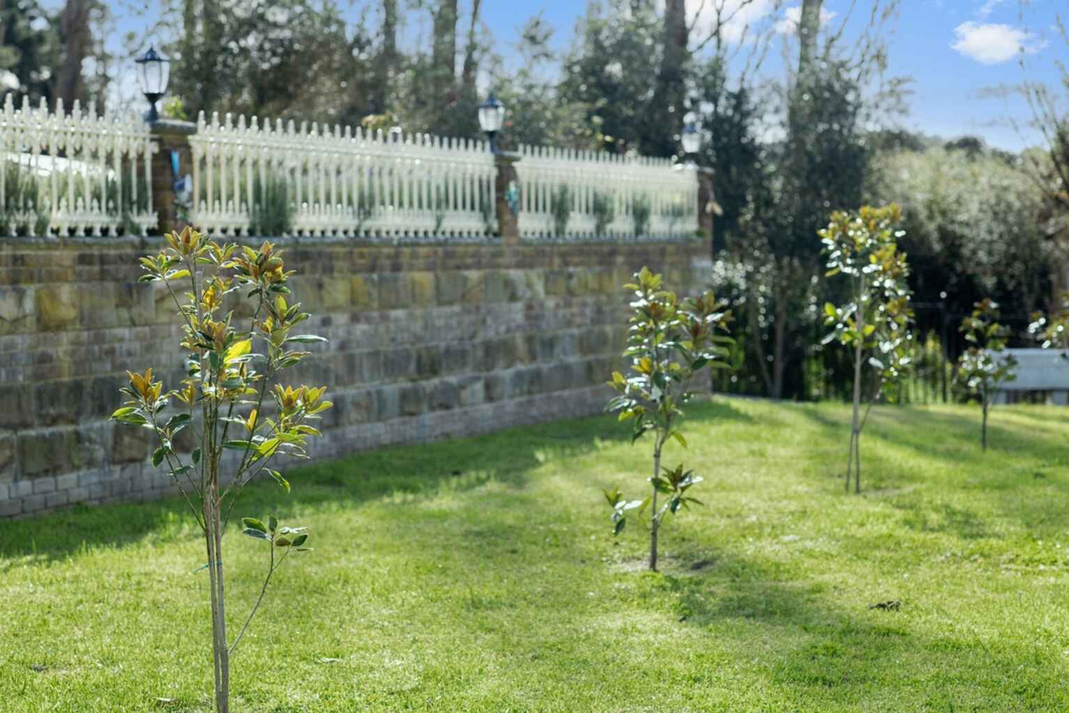 96 George Street Marulan 96 George Street Marulan