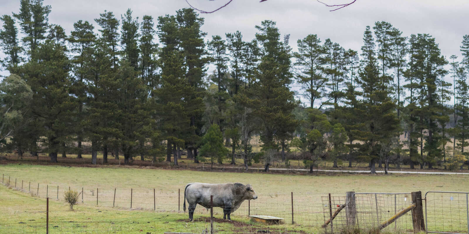 4539 Oallen Ford Road Bungonia Goulburn