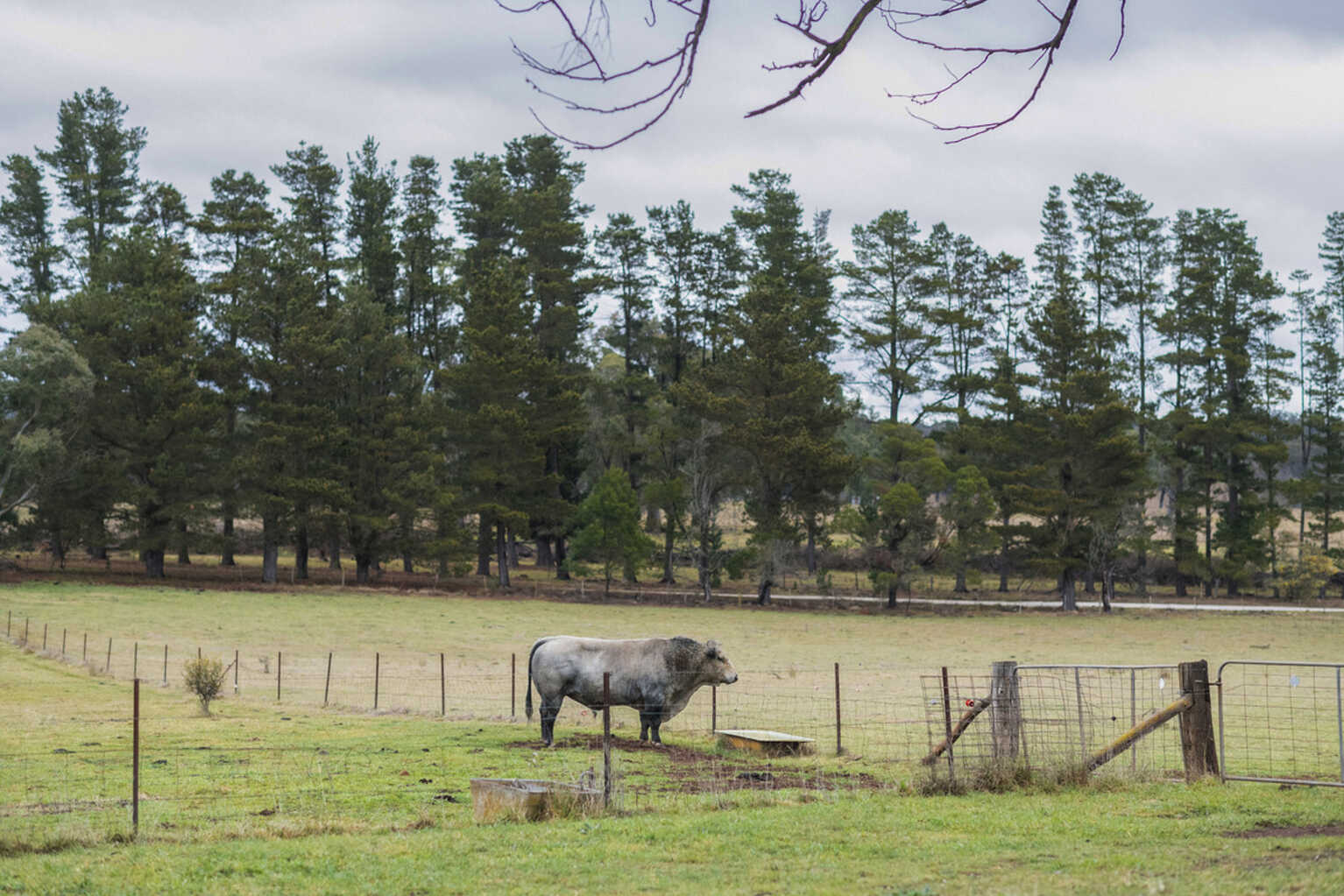 4539 Oallen Ford Road Bungonia Goulburn