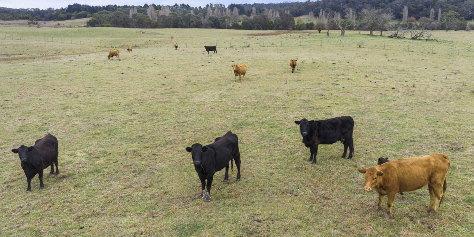 4539 Oallen Ford Road Bungonia Goulburn