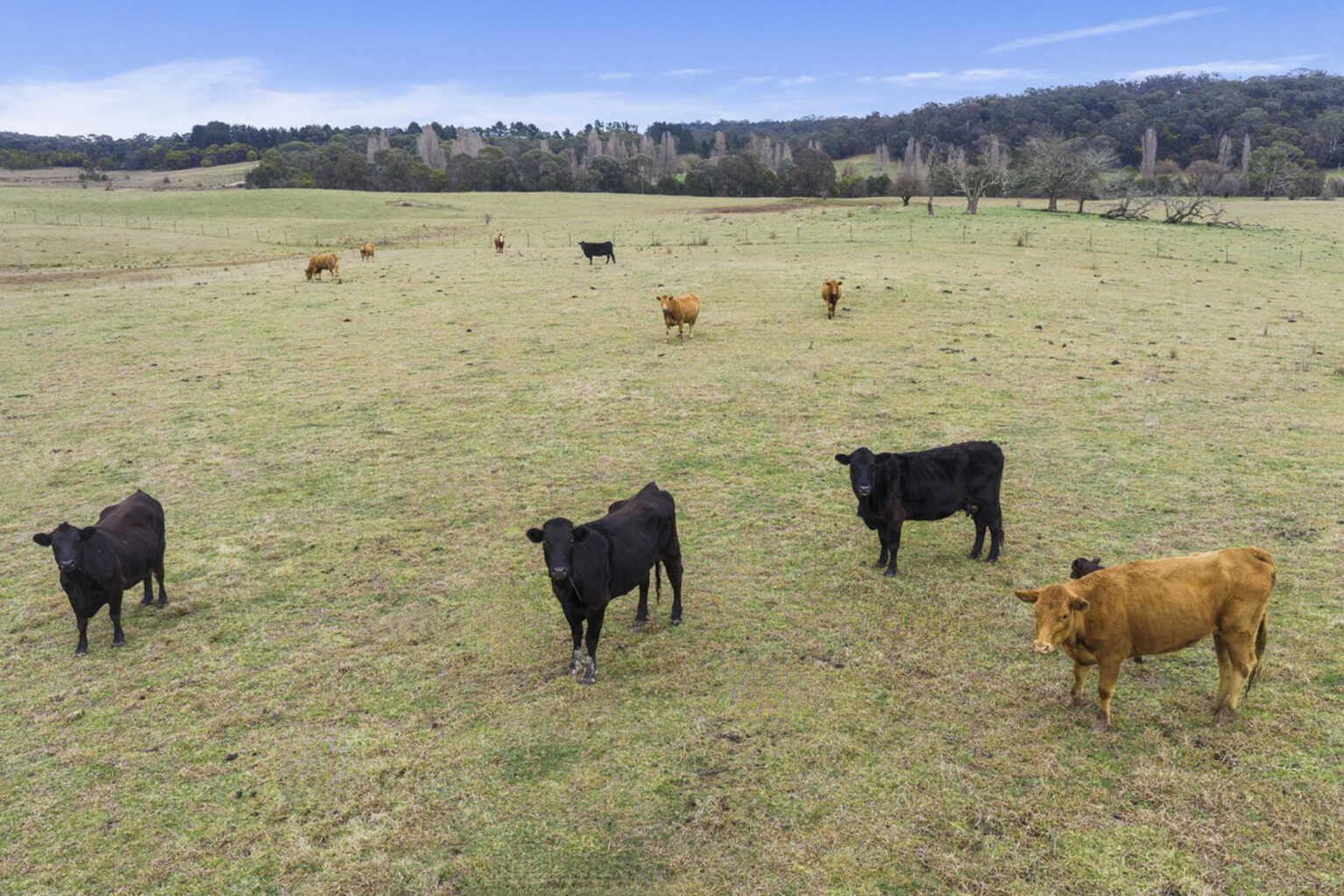 4539 Oallen Ford Road Bungonia Goulburn