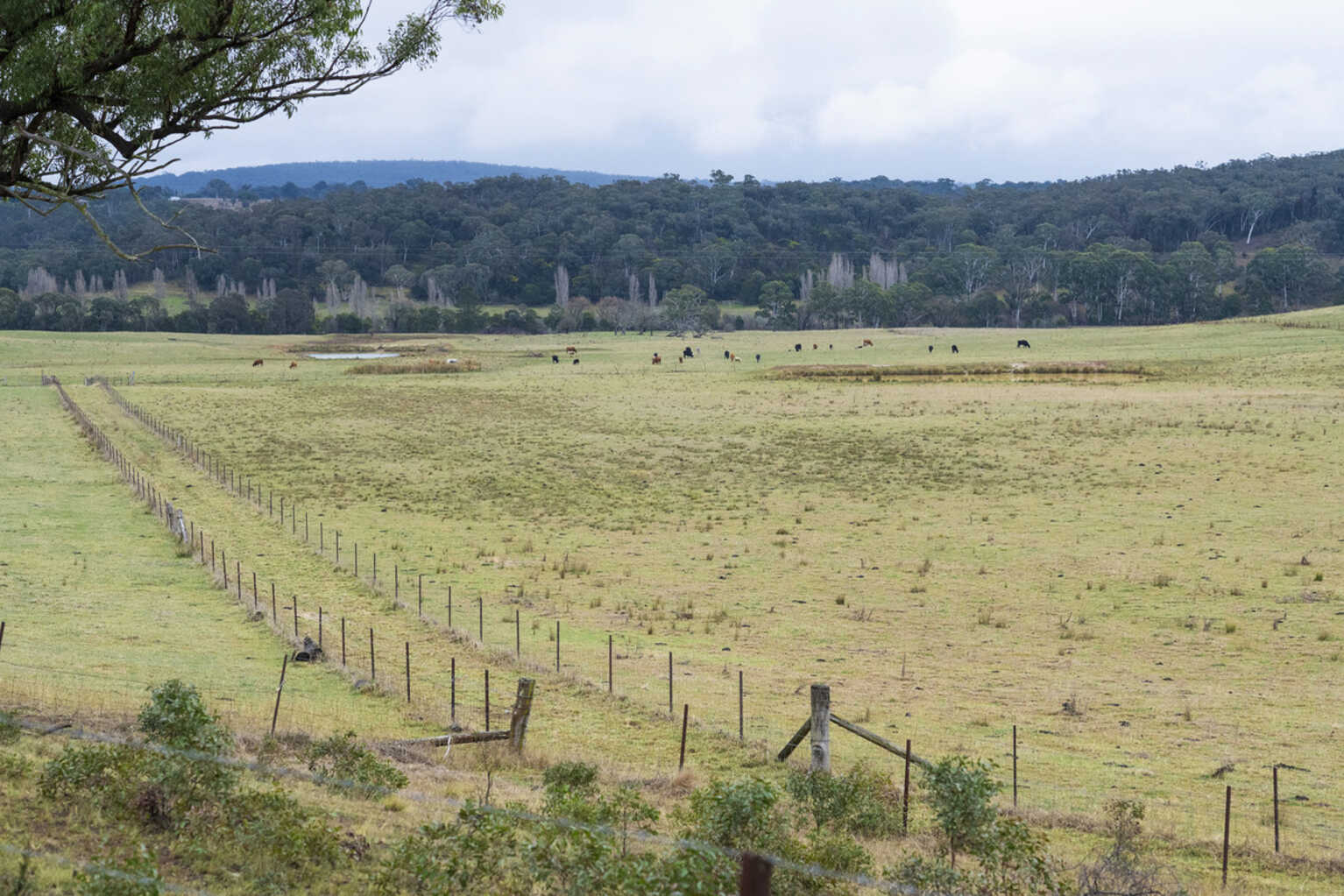4539 Oallen Ford Road Bungonia Goulburn
