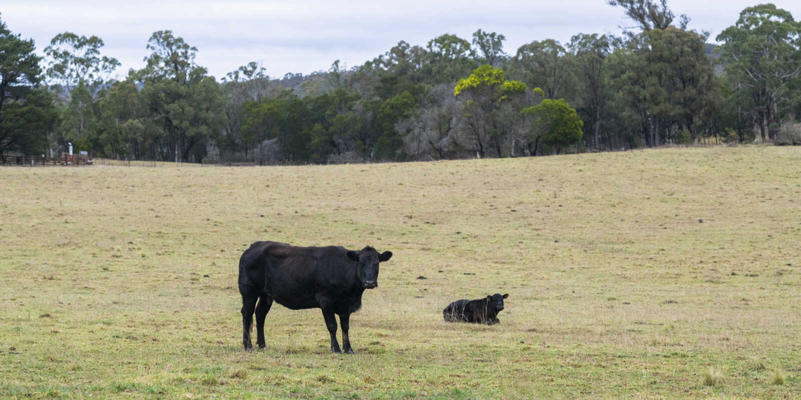 4539 Oallen Ford Road Bungonia Goulburn