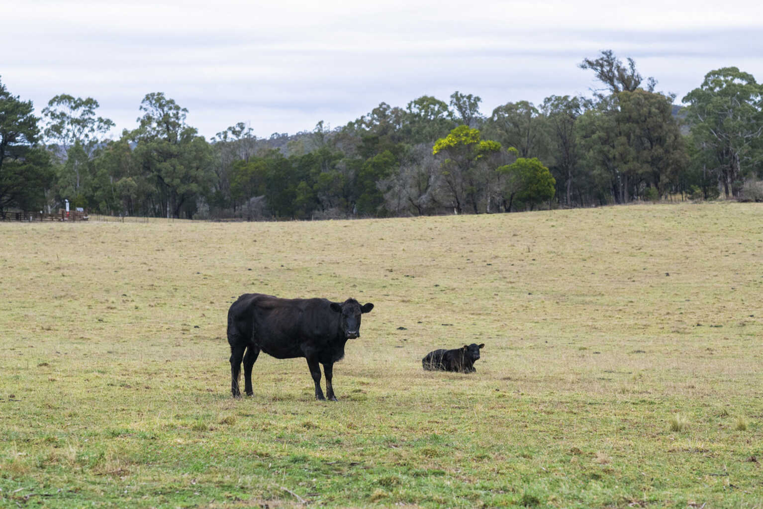 4539 Oallen Ford Road Bungonia Goulburn