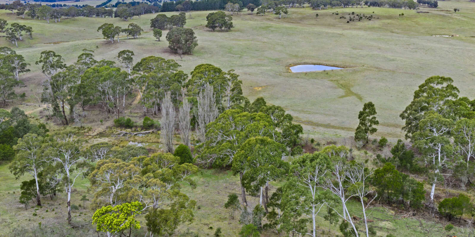 4559 Oallen Ford Road Bungonia Goulburn 4559 Oallen Ford Road Bungonia Goulburn
