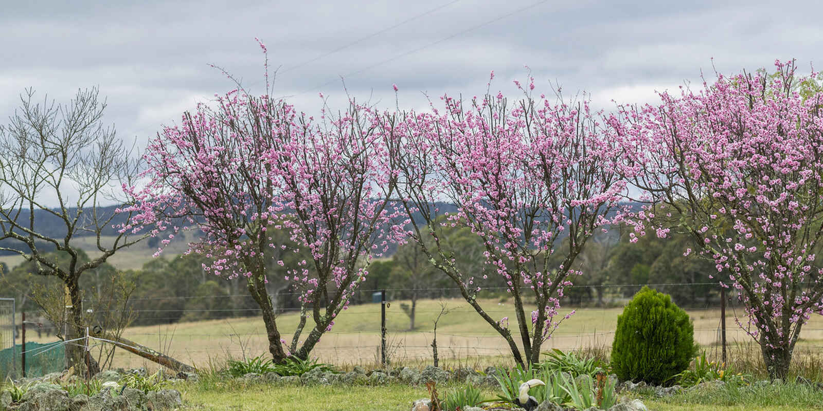 4559 Oallen Ford Road Bungonia Goulburn