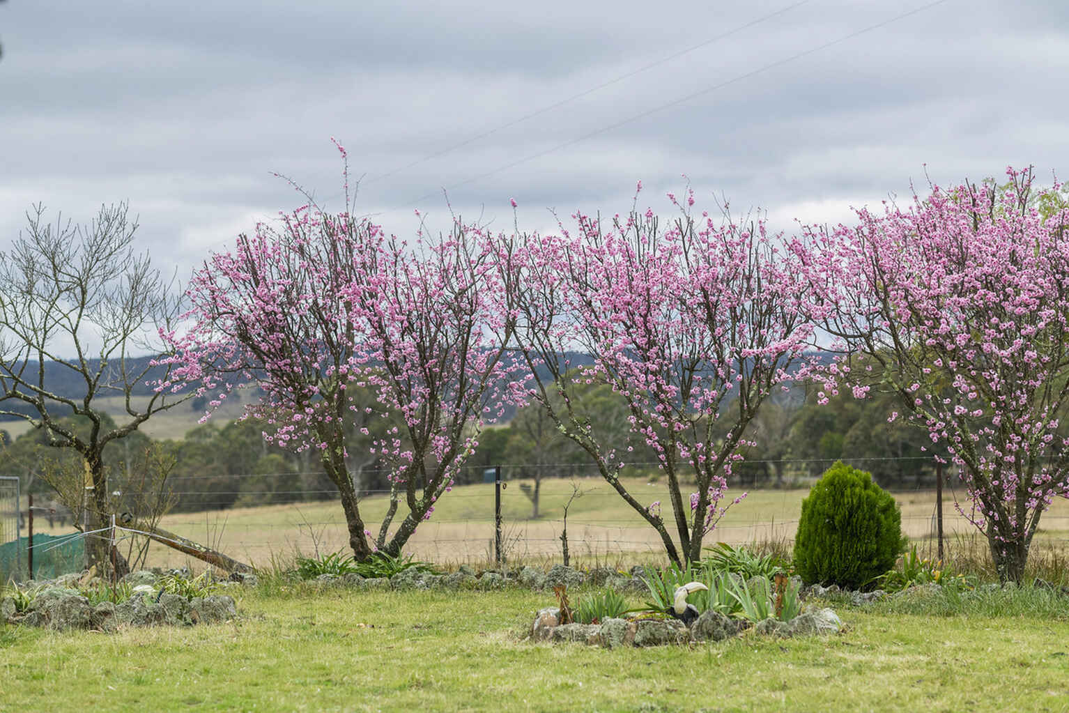 4559 Oallen Ford Road Bungonia Goulburn