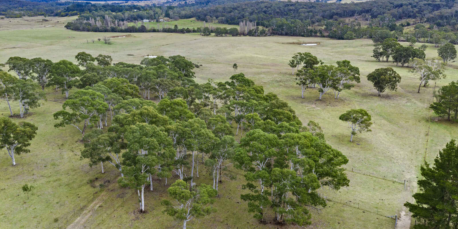 4559 Oallen Ford Road Bungonia Goulburn