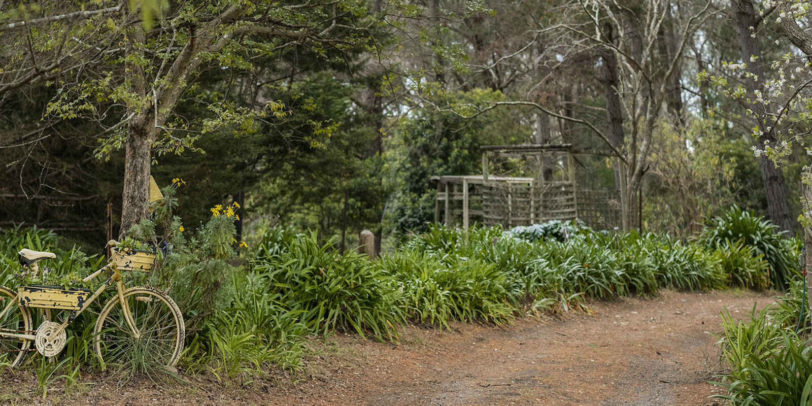 240 Caoura Road Tallong Marulan