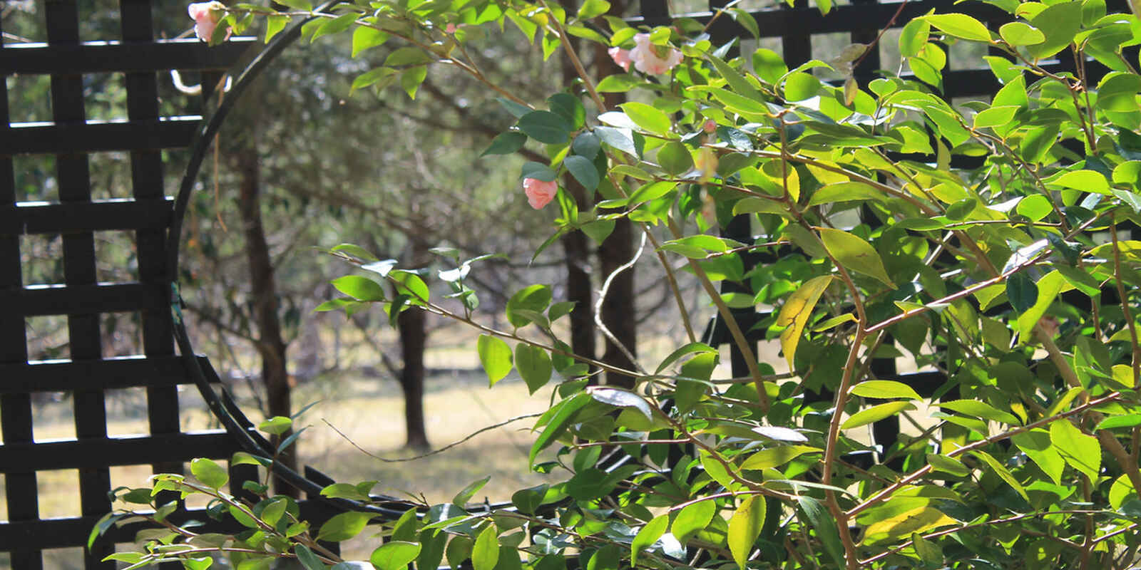 240 Caoura Road Tallong Marulan