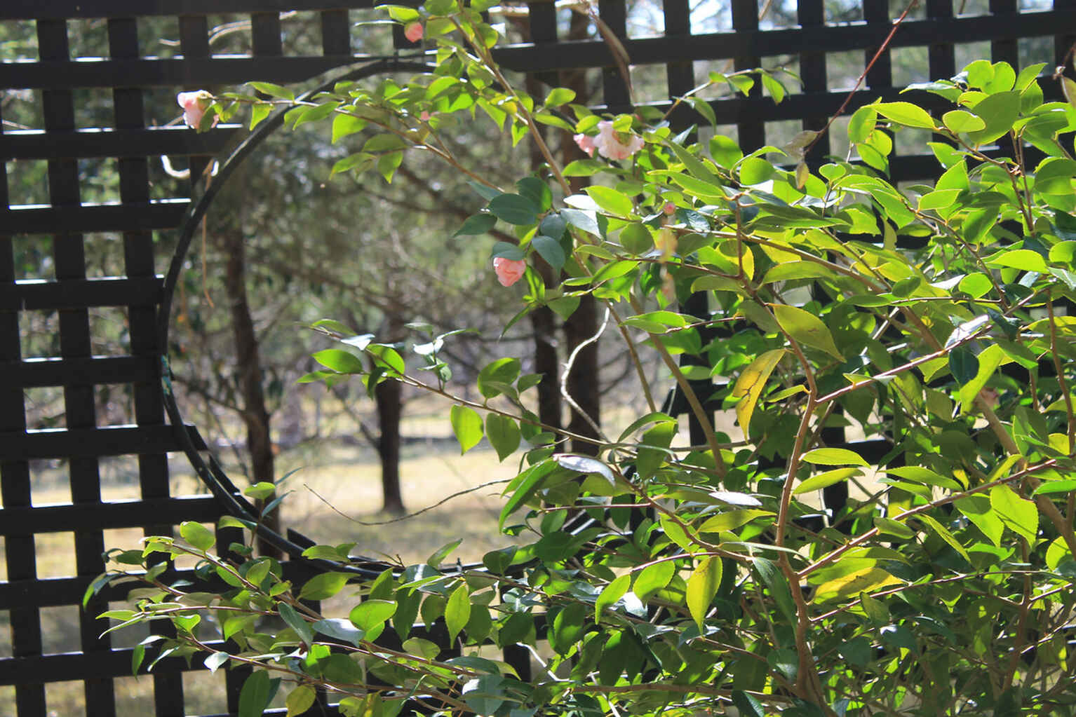 240 Caoura Road Tallong Marulan
