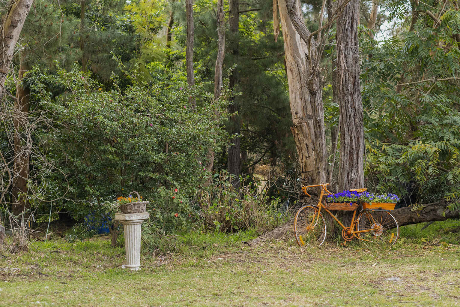 240 Caoura Road Tallong Marulan