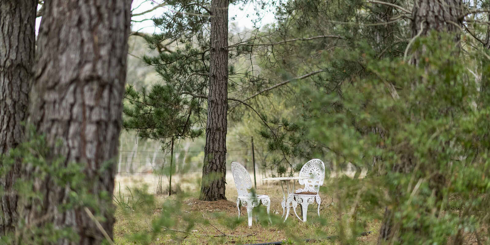 240 Caoura Road Tallong Marulan