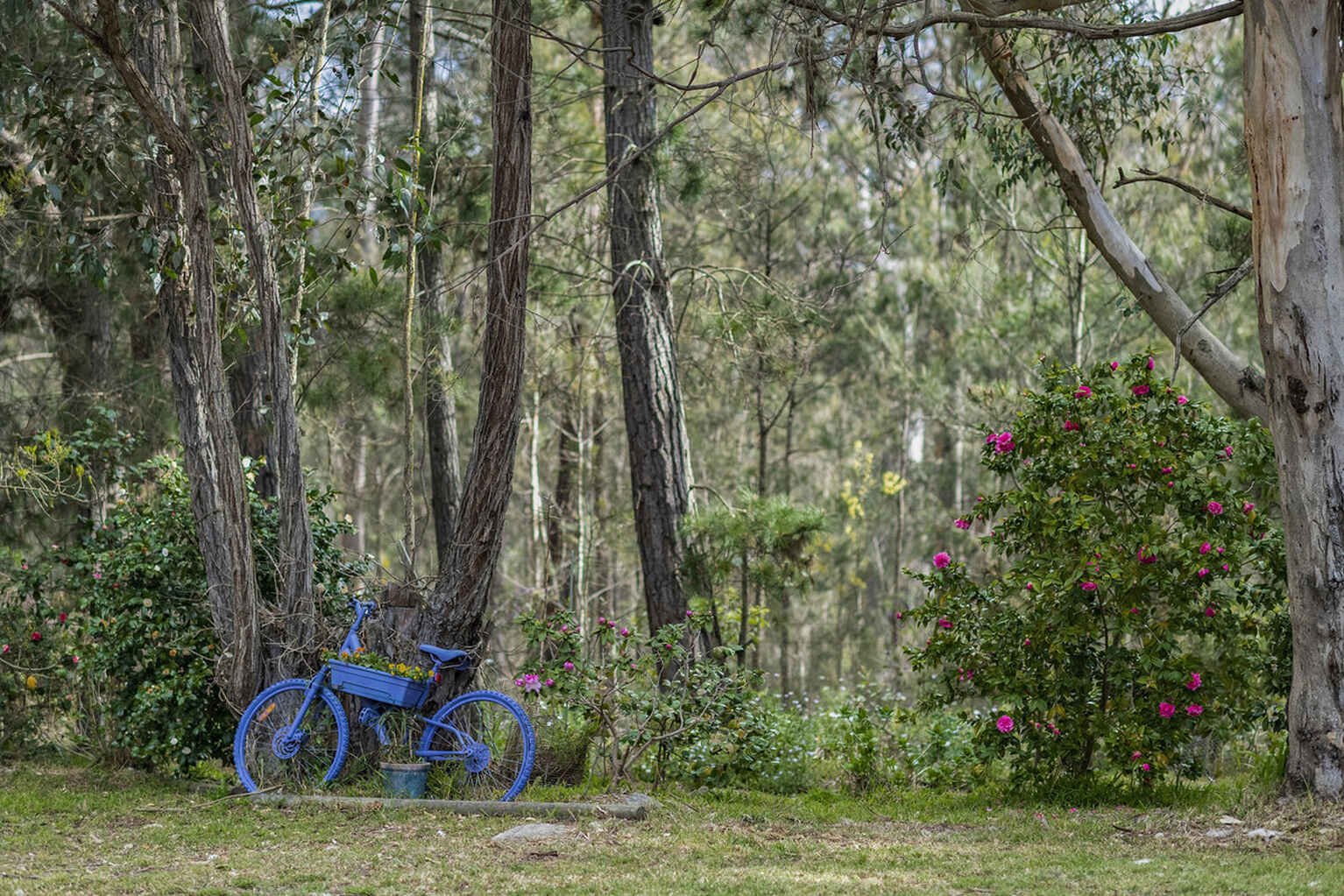 240 Caoura Road Tallong Marulan
